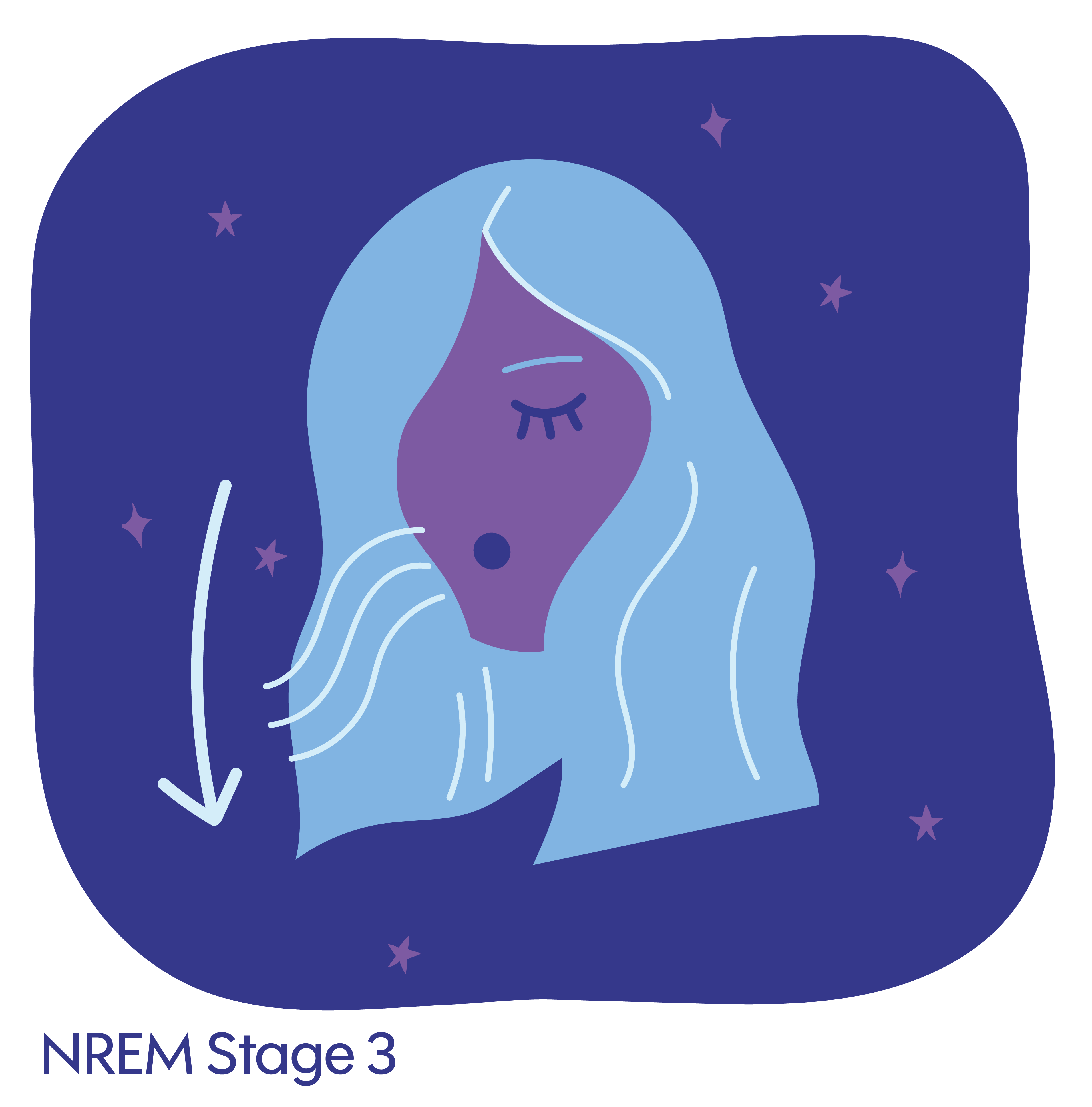 Sleep stages 3